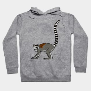 Ring Tailed Lemur Hoodie